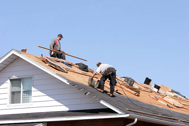 Best Gutter Installation and Repair  in Elgin, SC